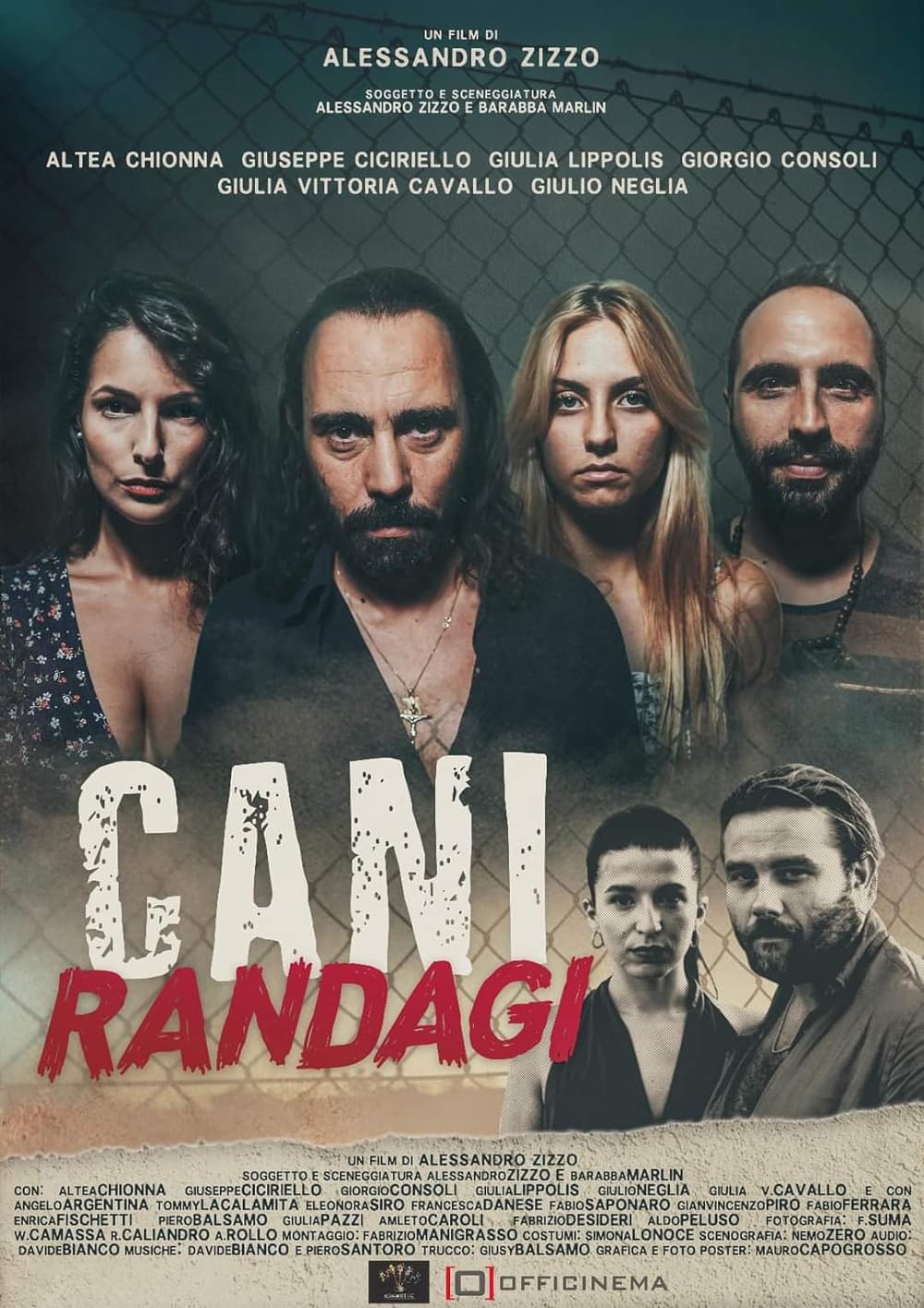 Cani randagi 