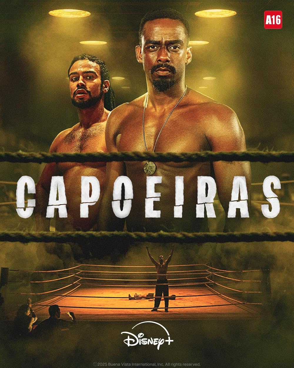Capoeiras 