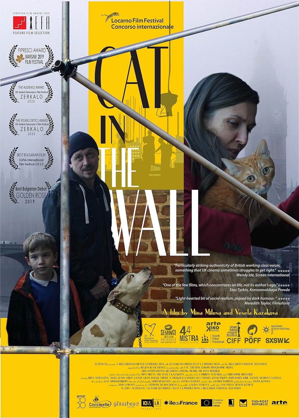 Cat in the Wall 
