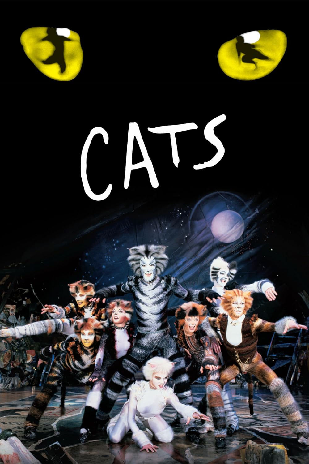 Cats 