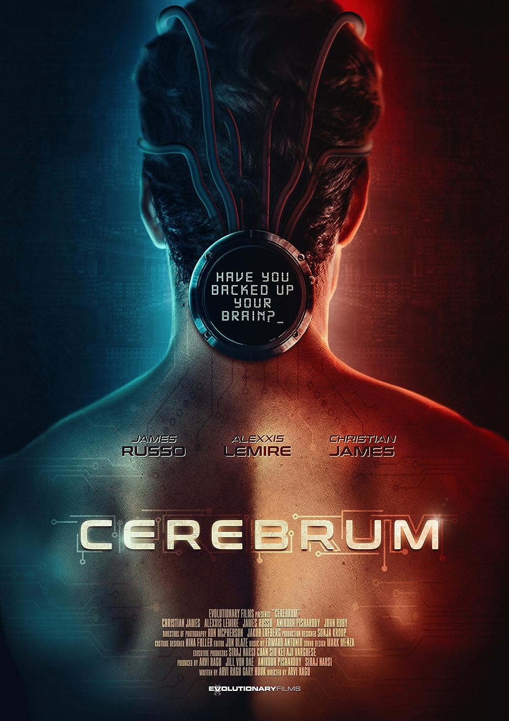 Cerebrum 