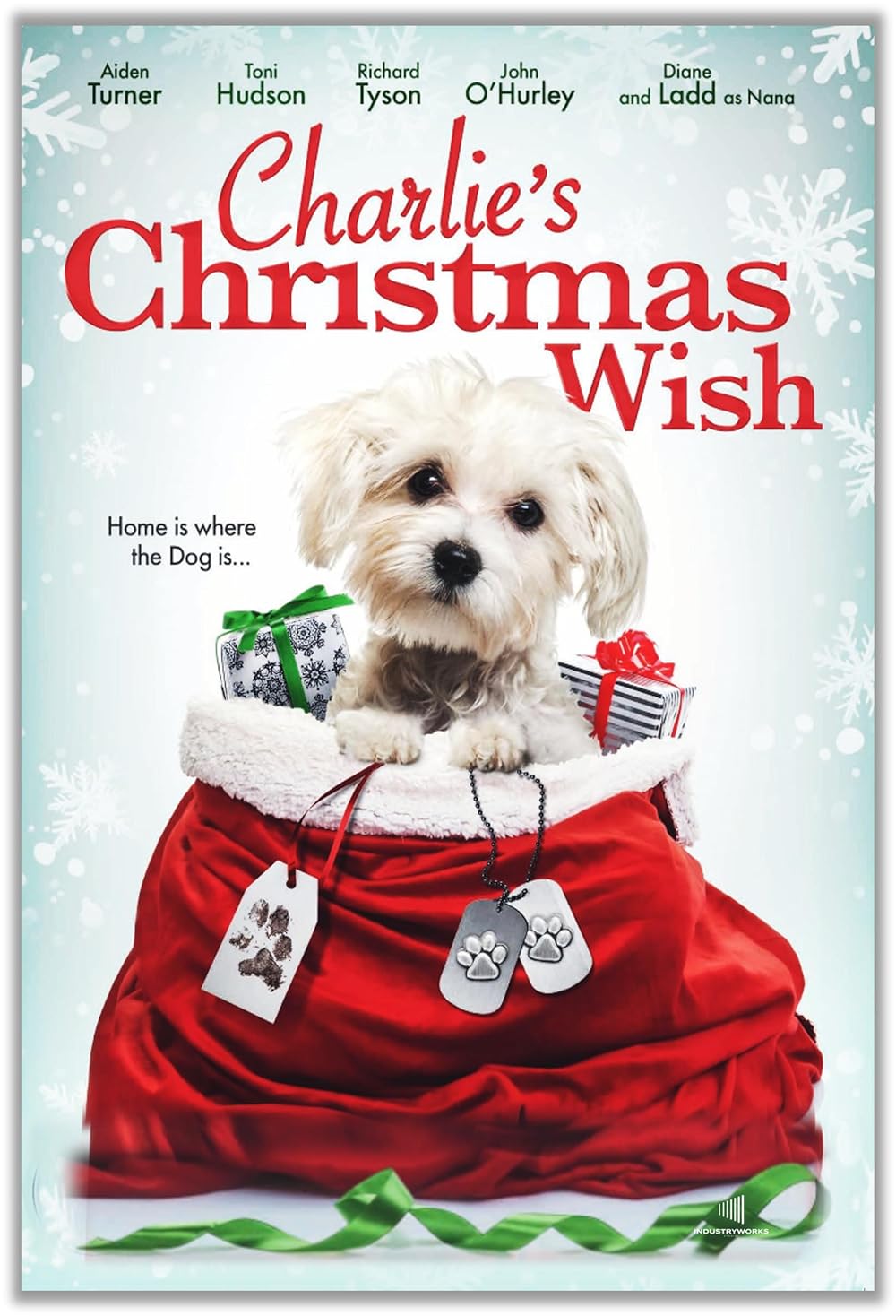 Charlie's Christmas Wish 