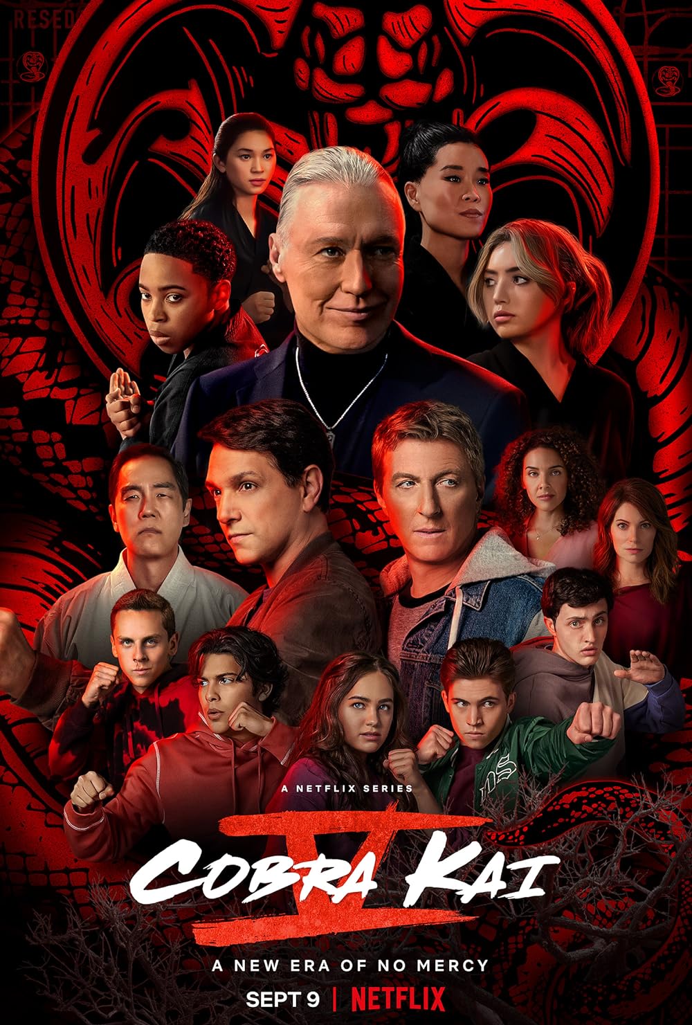 Cobra Kai 