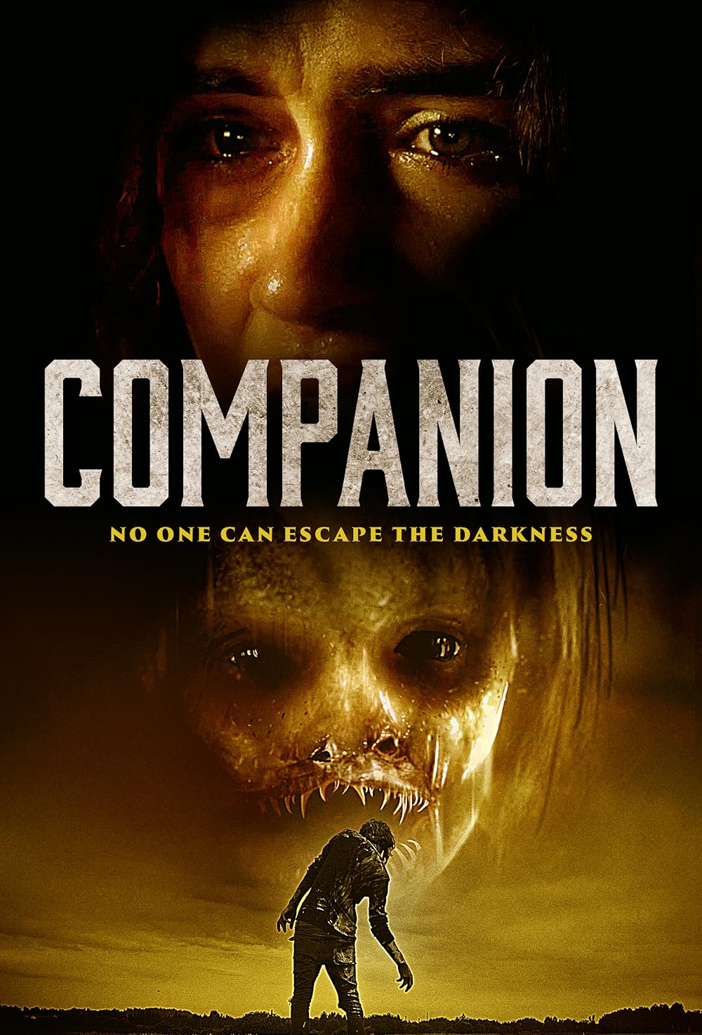 Companion 