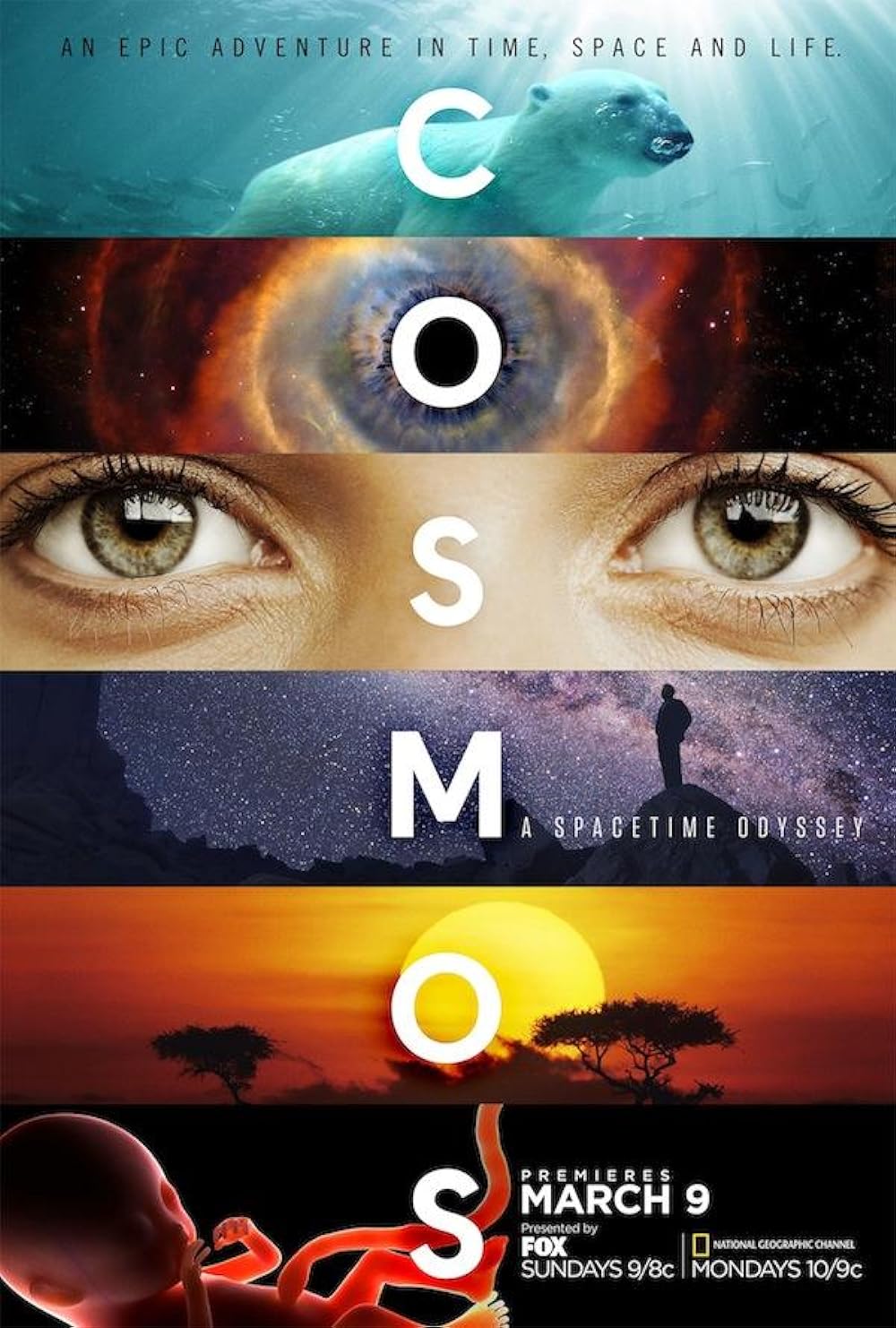 Cosmos: A Spacetime Odyssey 