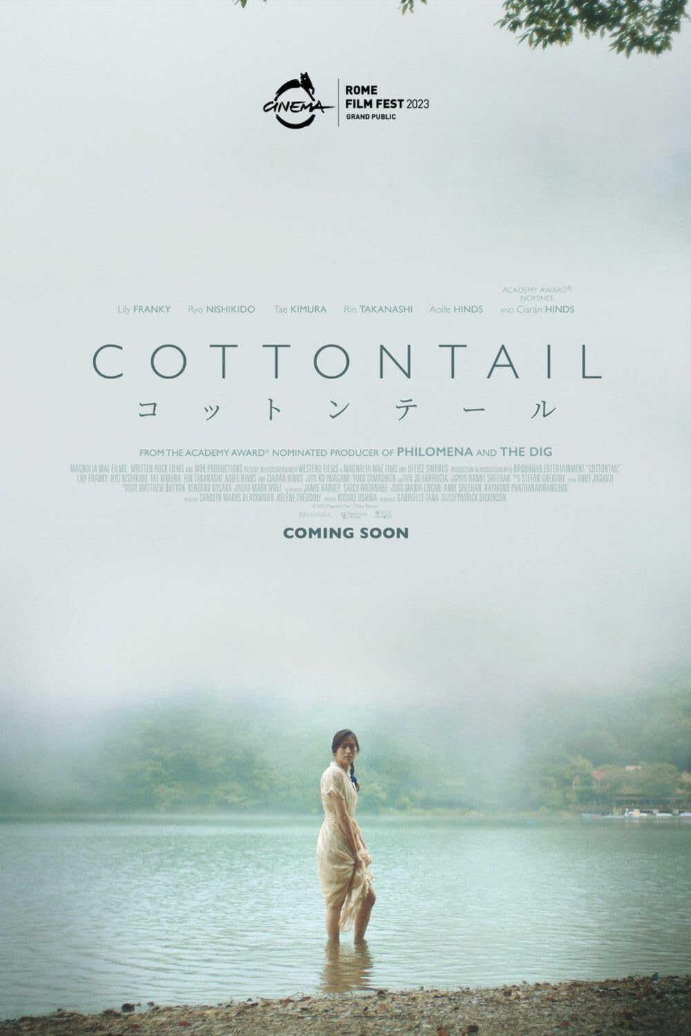 Cottontail 