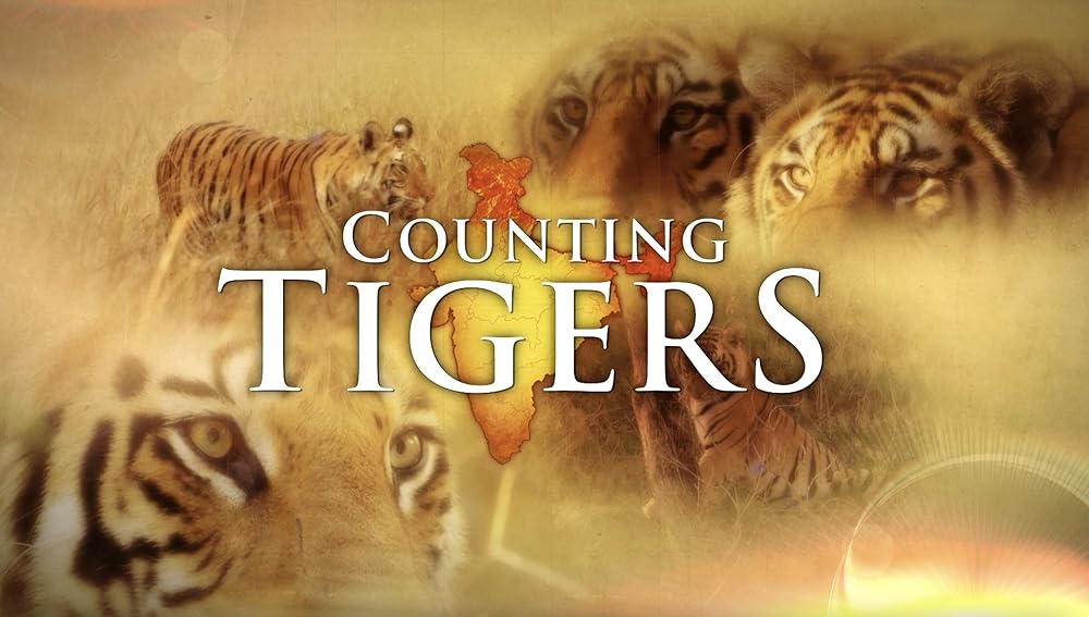 Counting Tigers 