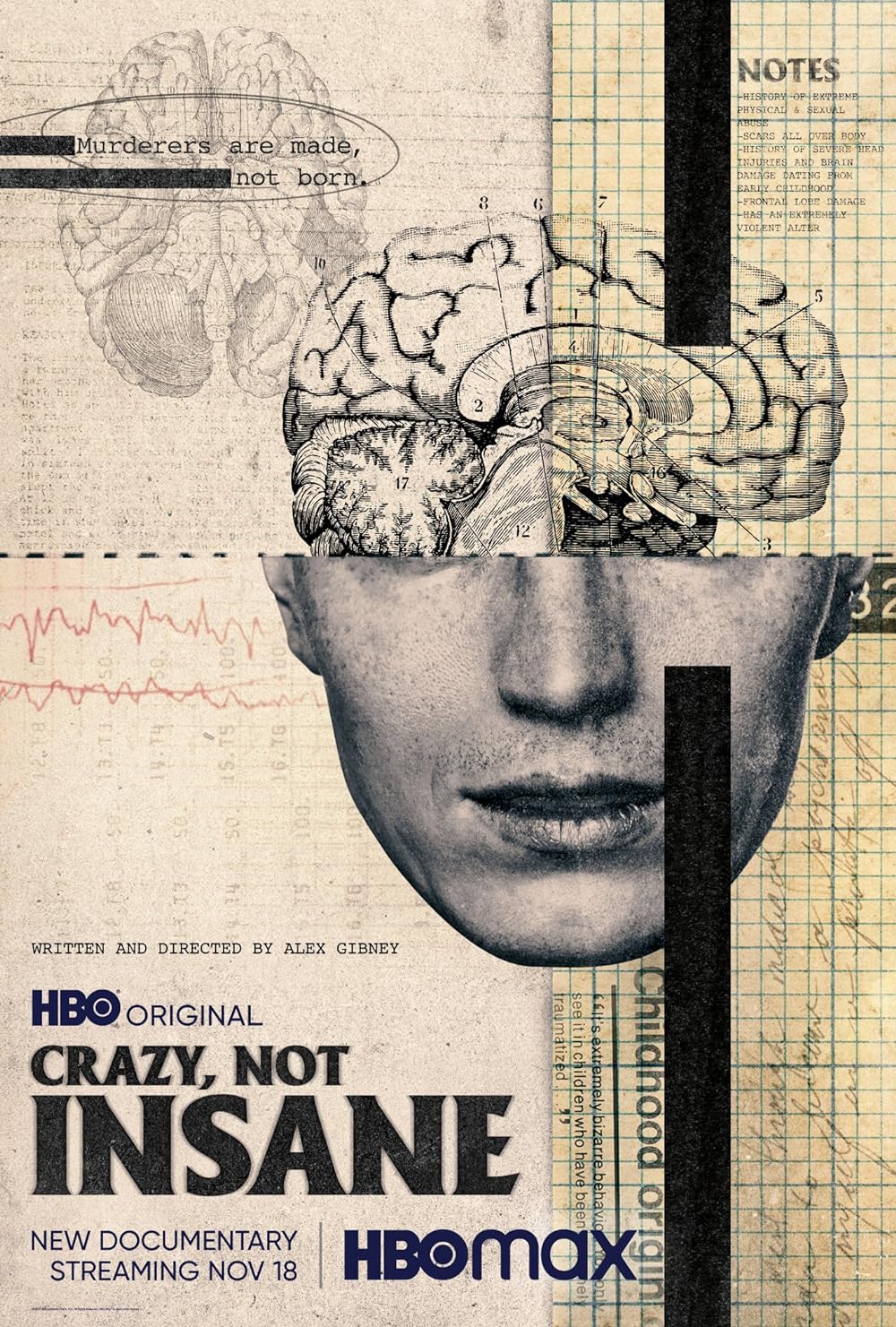 Crazy, Not Insane 