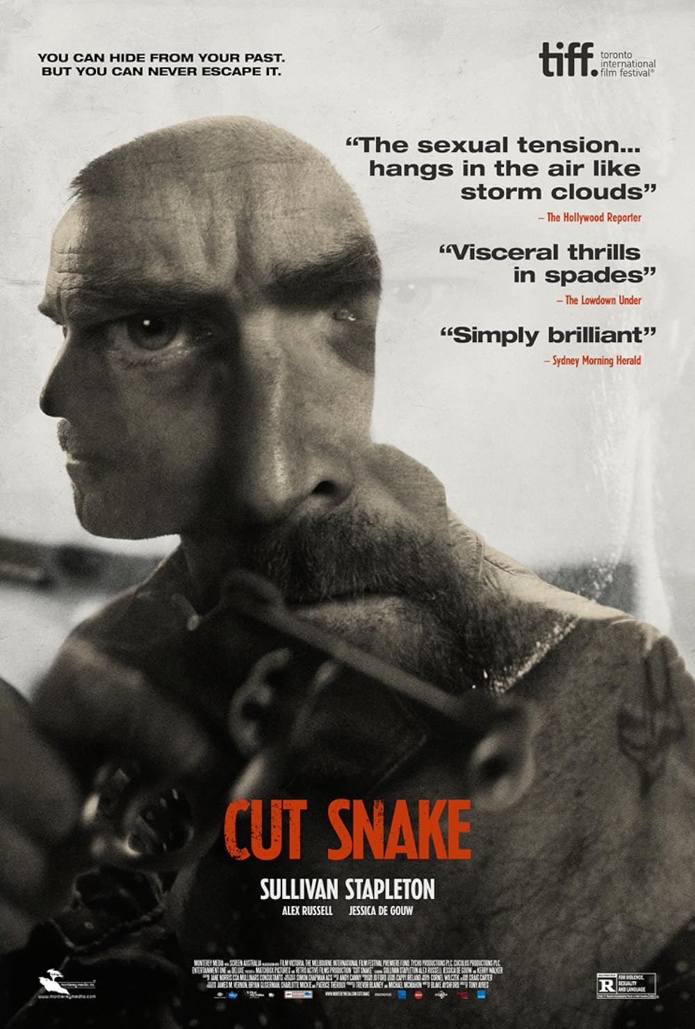Cut Snake 