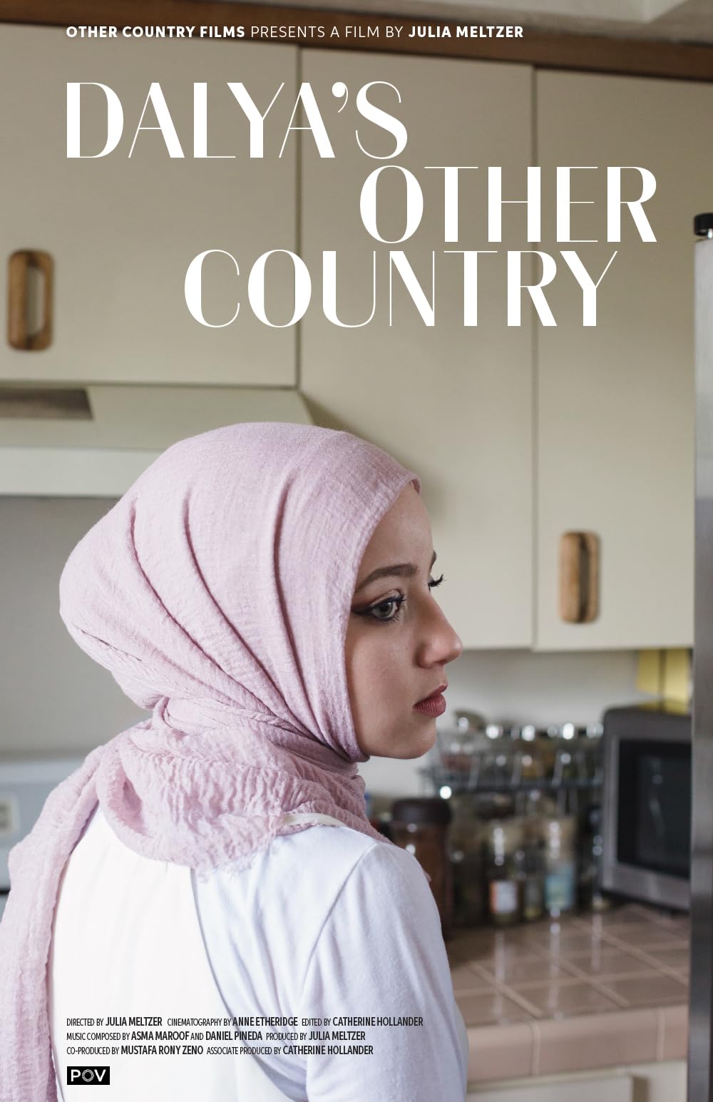 Dalya's Other Country 