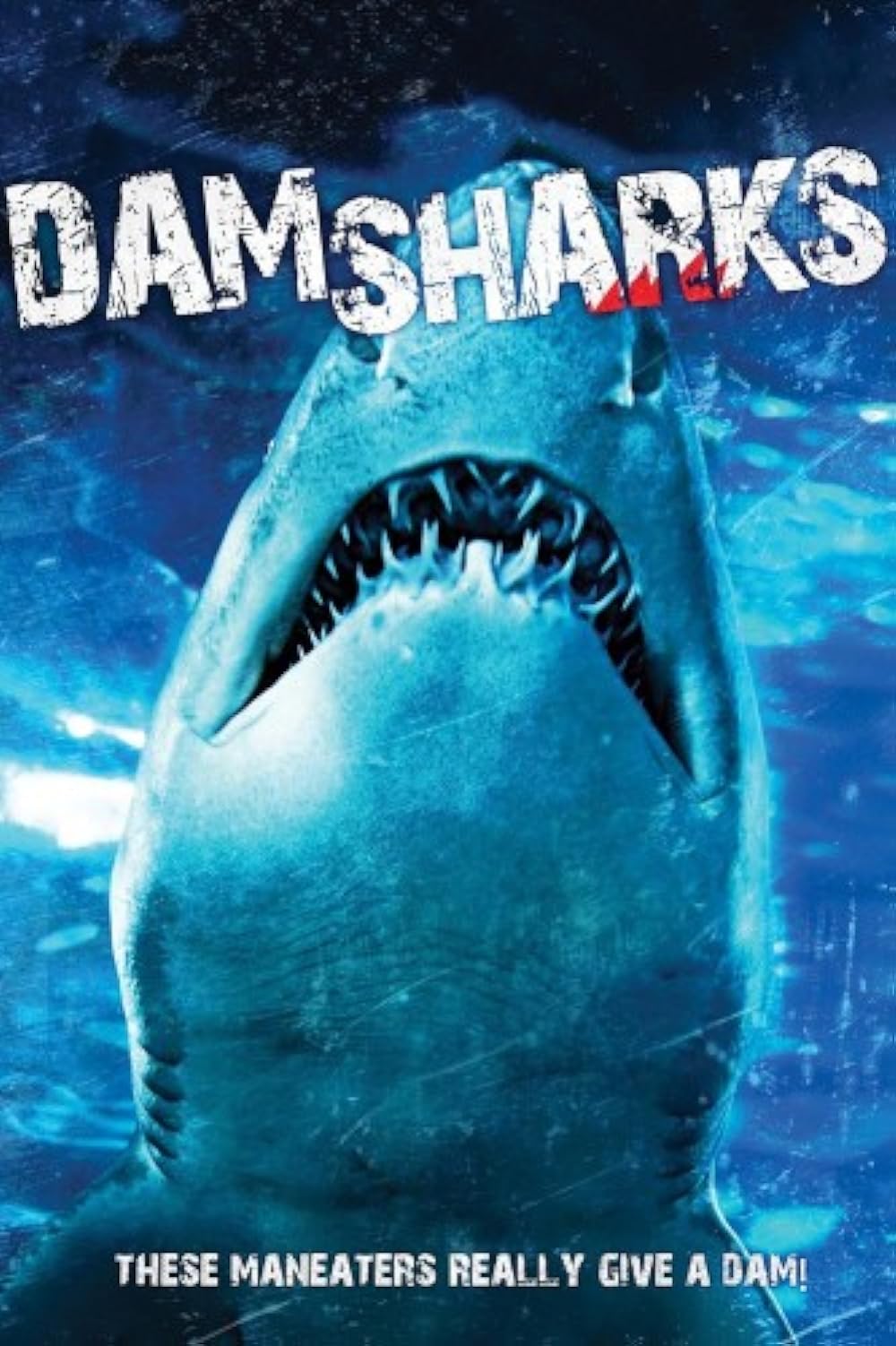 Dam Sharks 