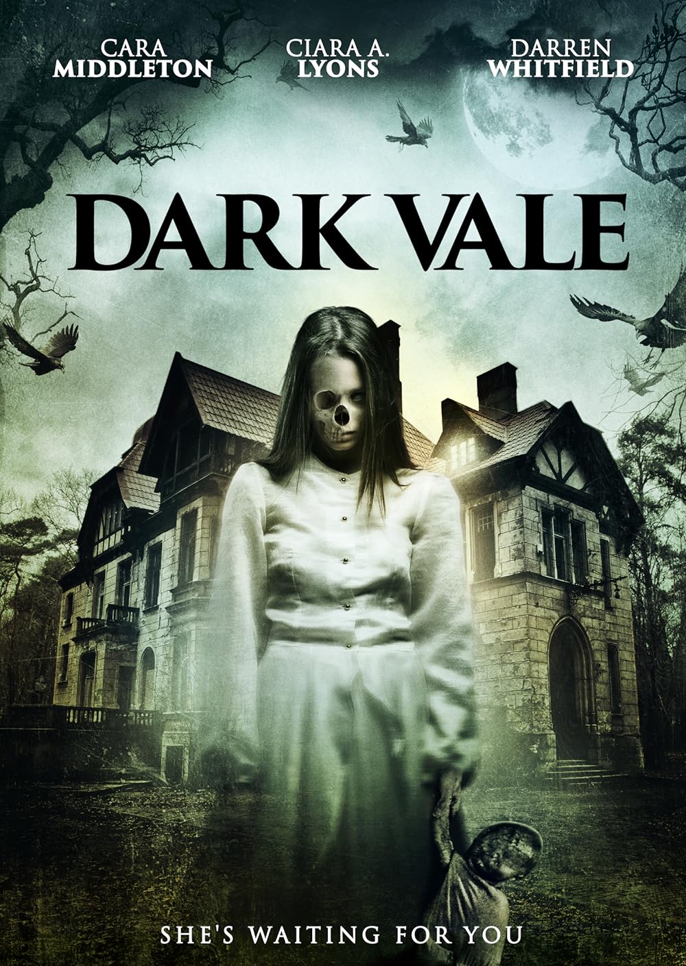 Dark Vale 