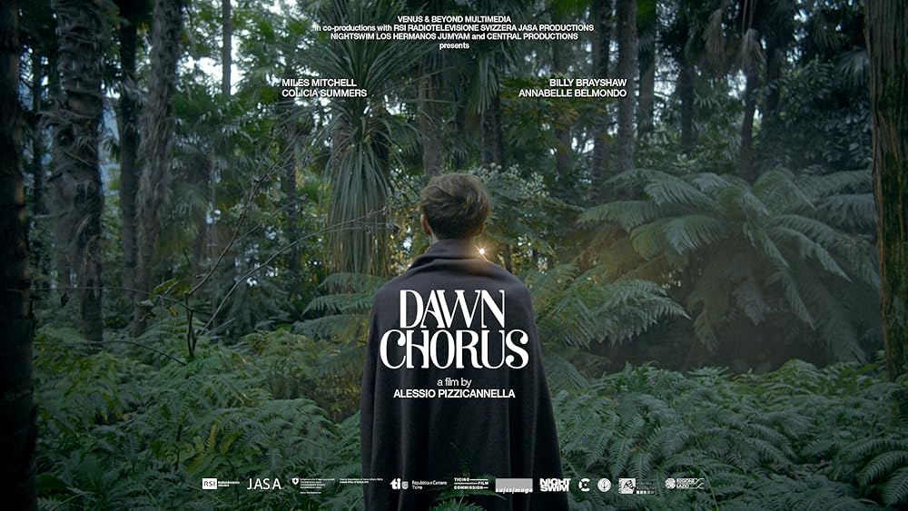 Dawn Chorus 