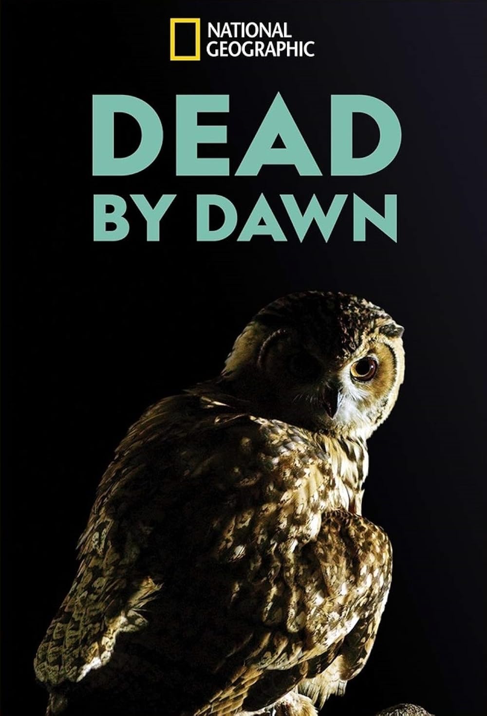 Dead by Dawn 