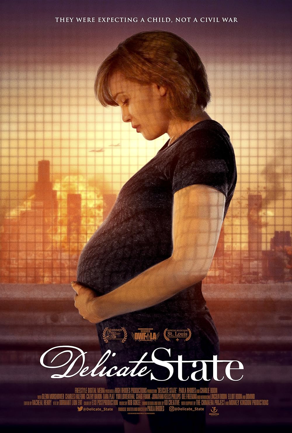 Delicate State 