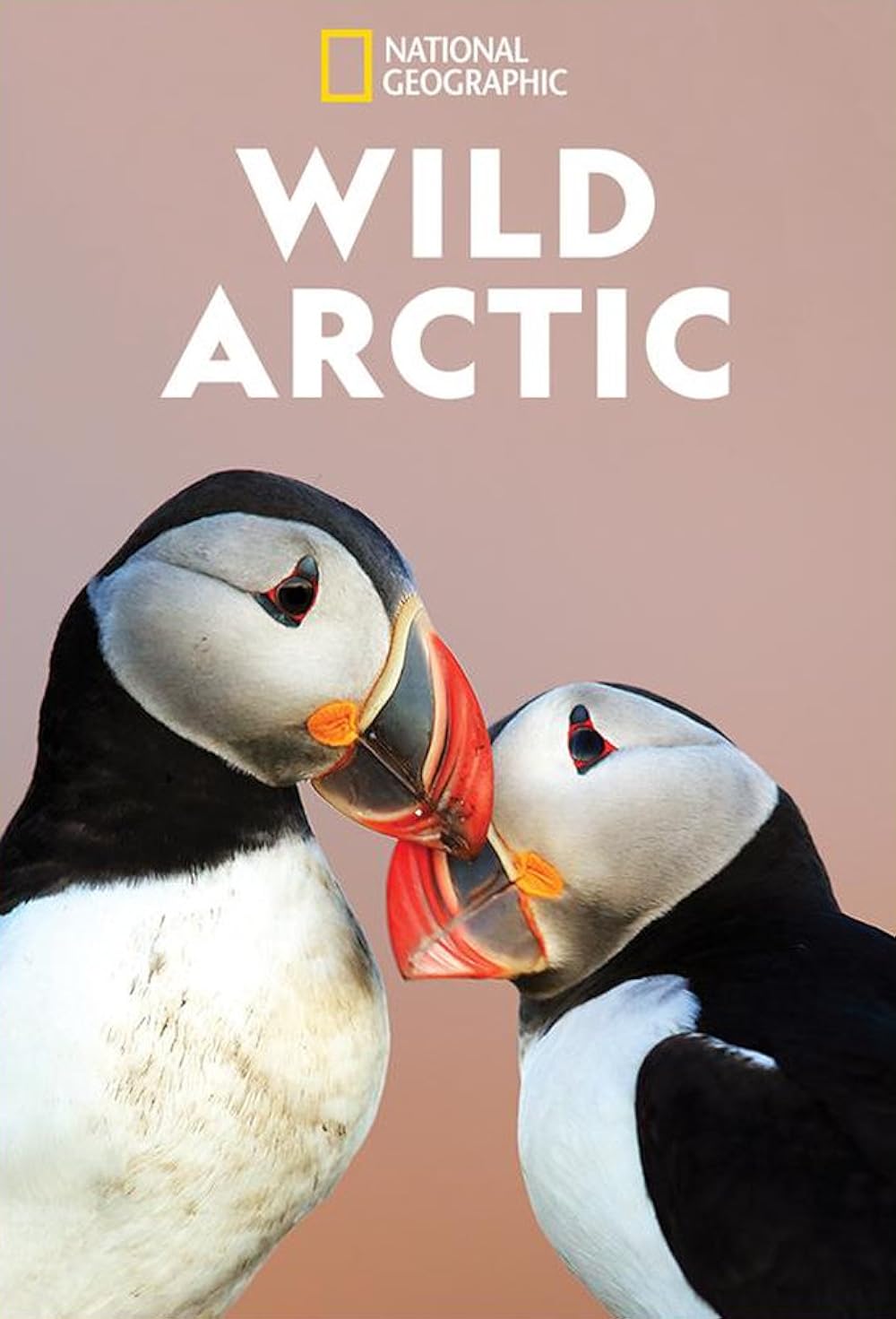 Destination Wild: Wild Arctic 