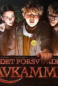 Det Forsvundne Ravkammer 