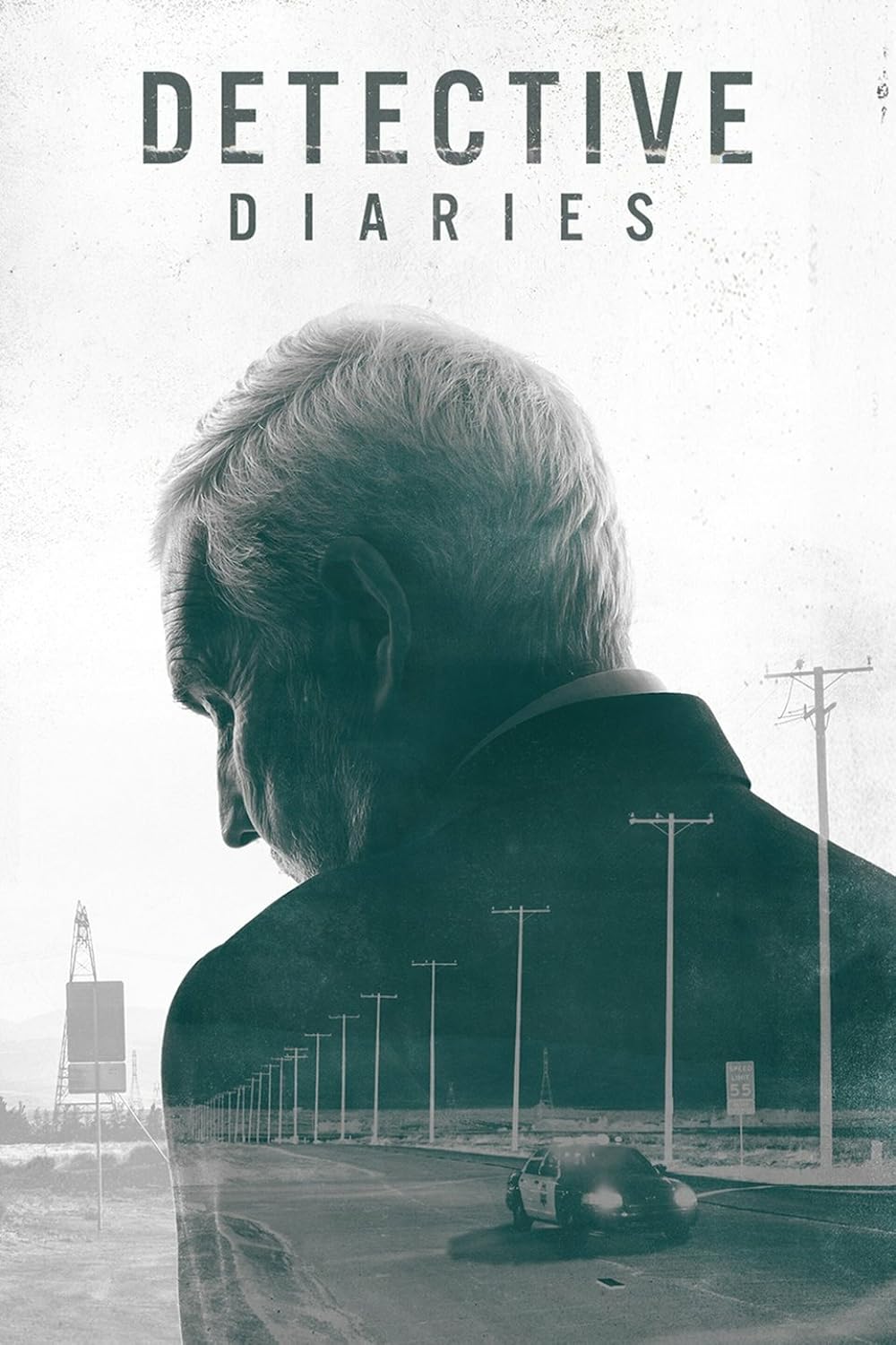 Detective Diaries 