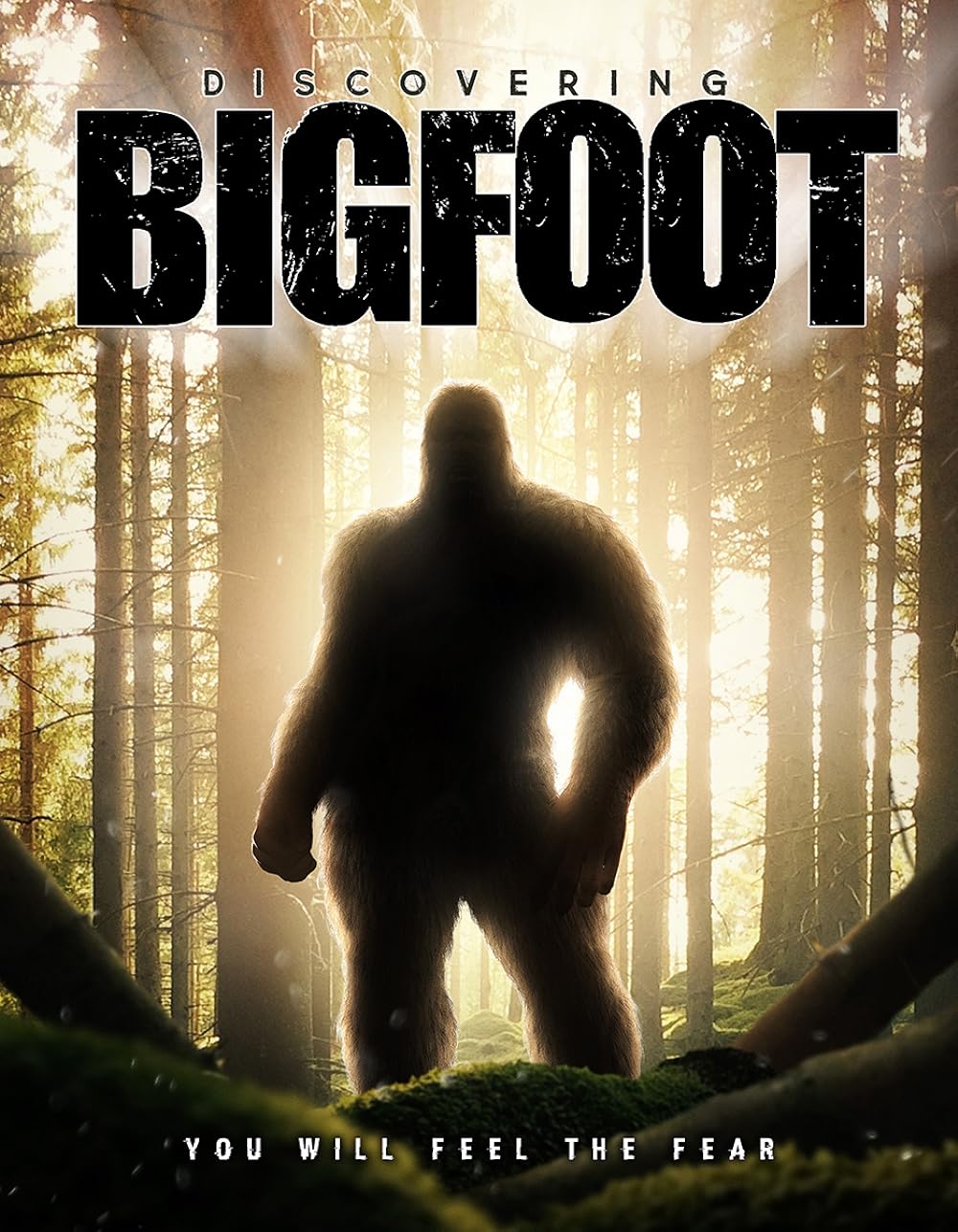 Discovering Bigfoot 