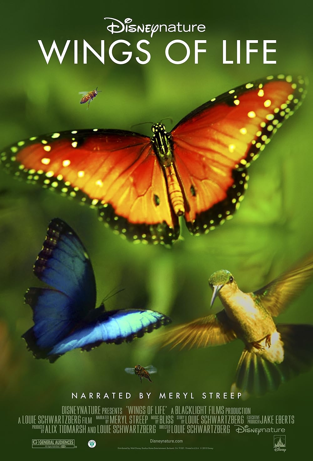 Disneynature: Wings of Life 