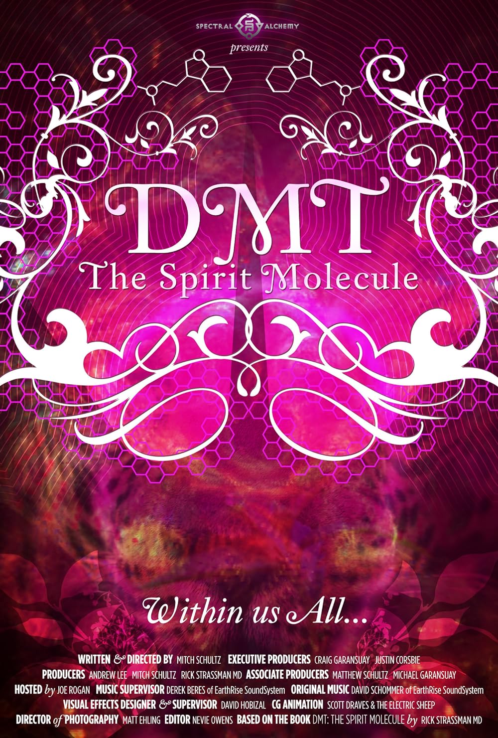 DMT: The Spirit Molecule 