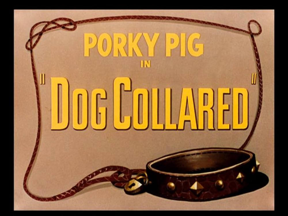 Dog Collared 