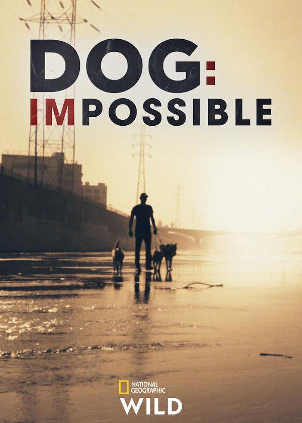 Dog: Impossible 