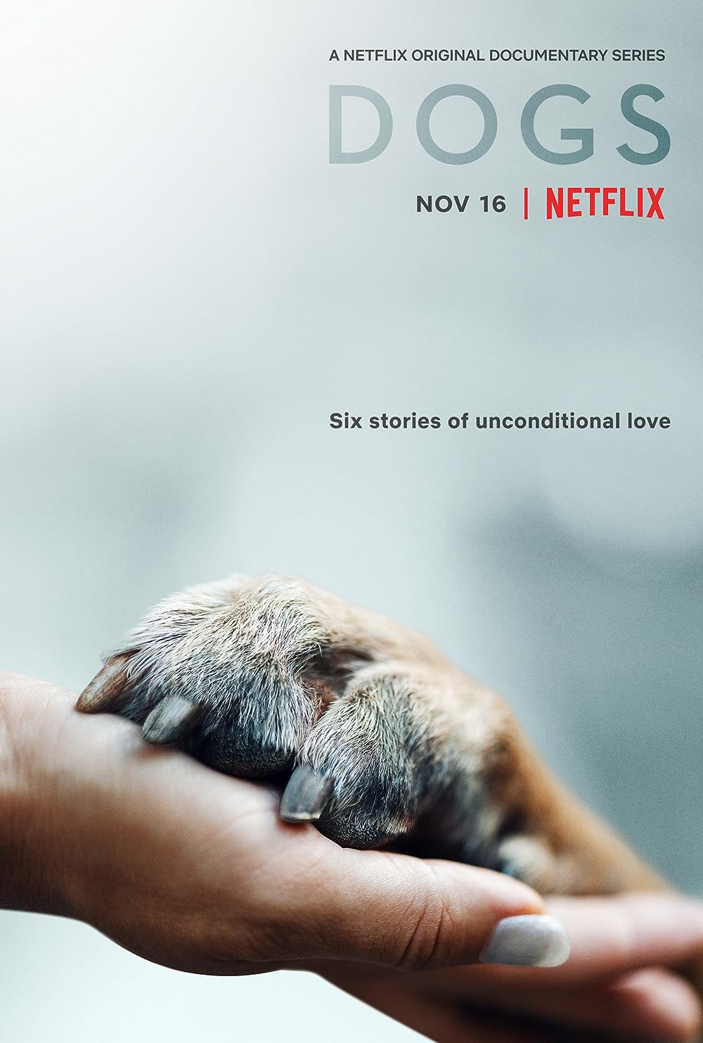 Dogs 