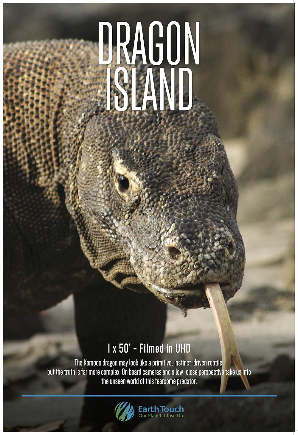 Dragon Island 