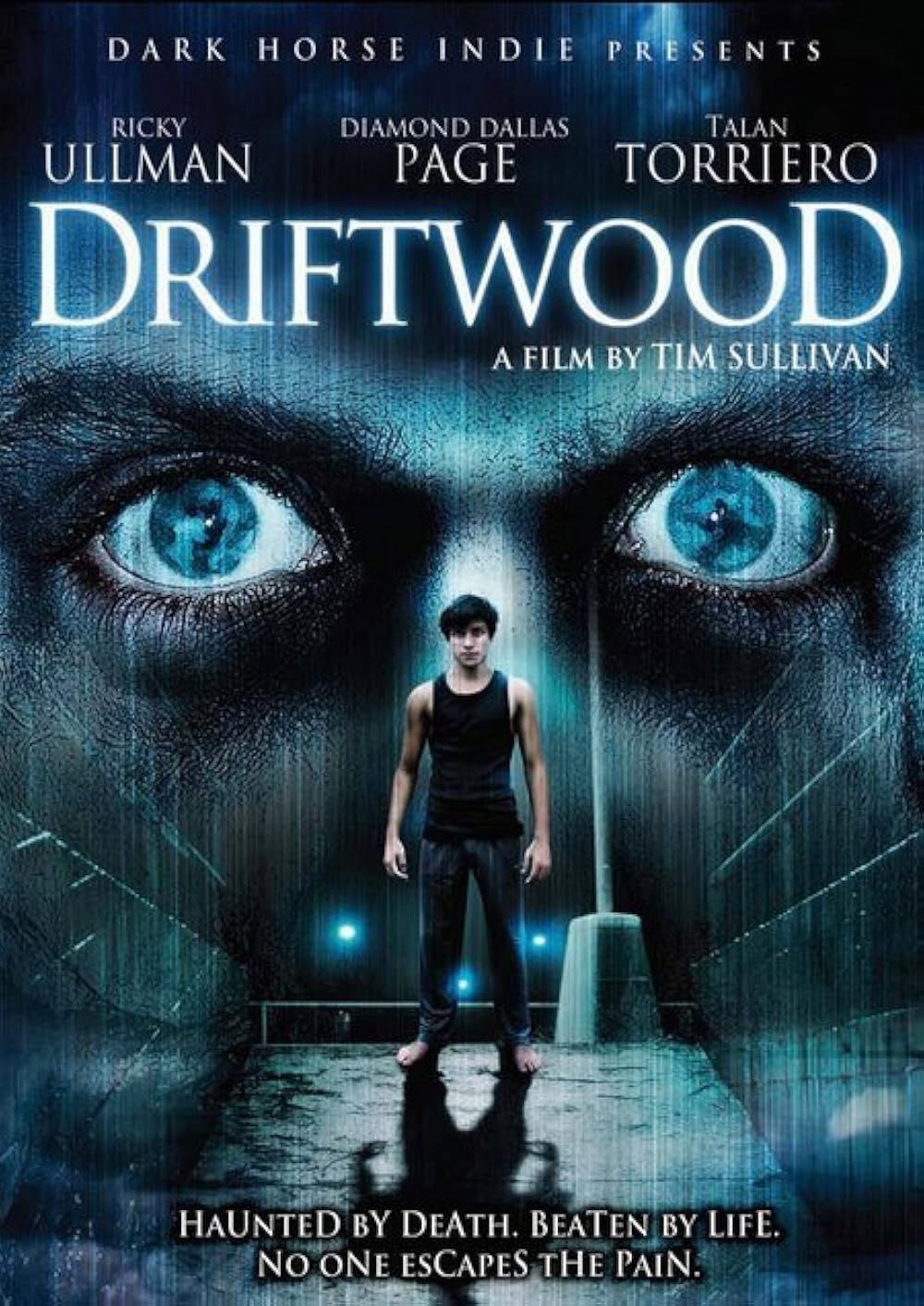 Driftwood 