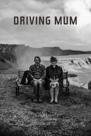 Driving Mum 