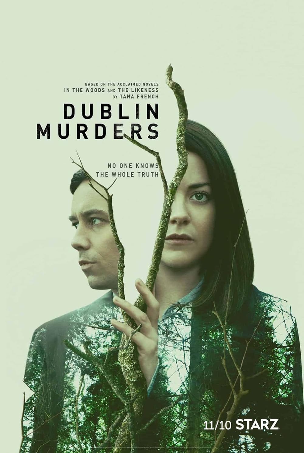 Dublin Murders 