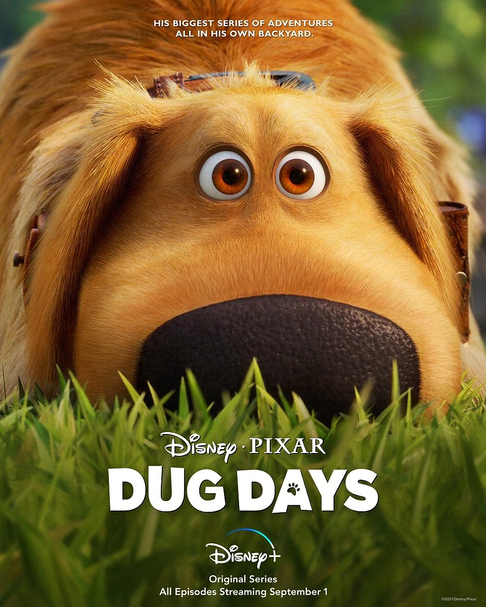 Dug Days 