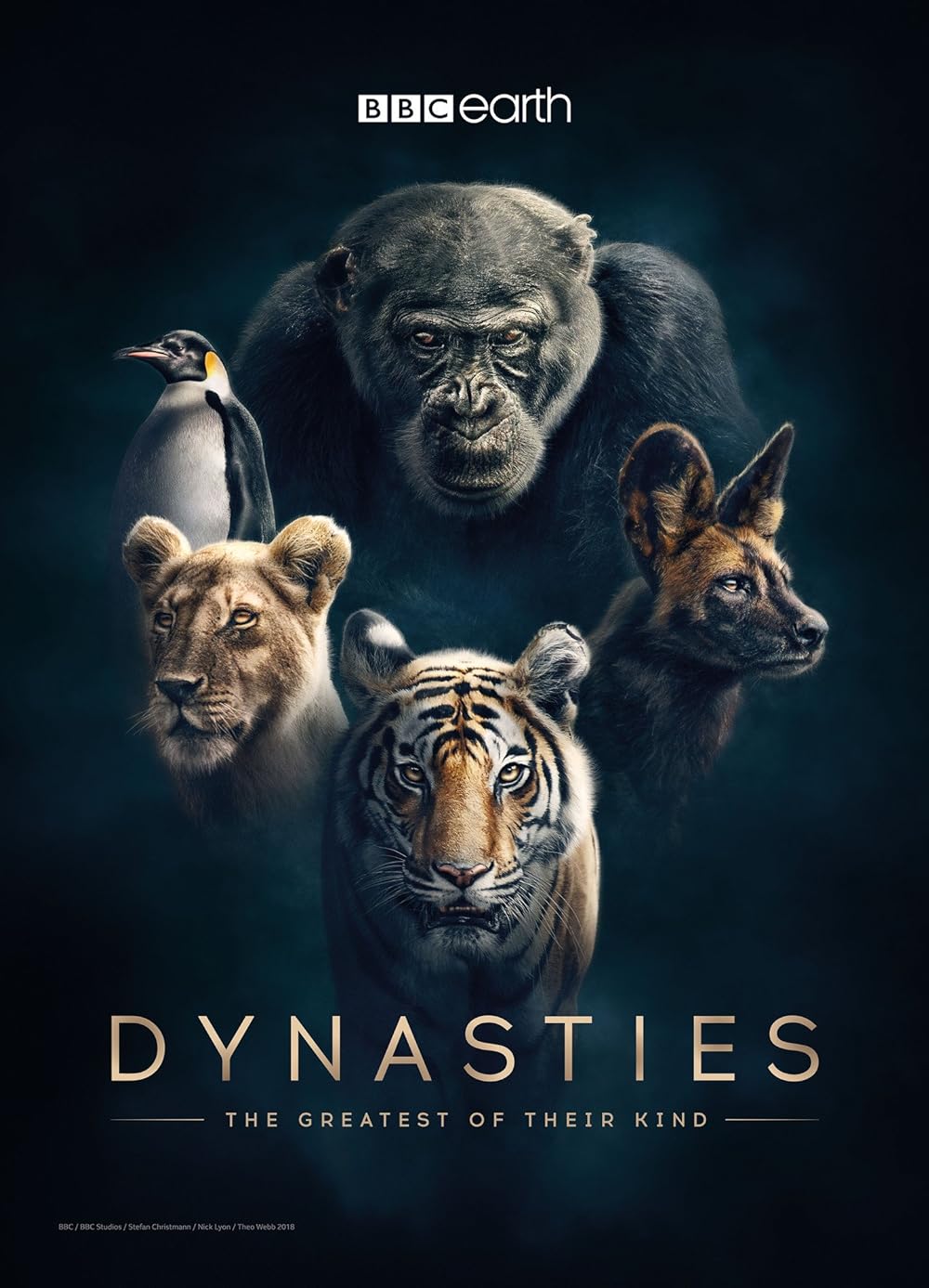 Dynasties 