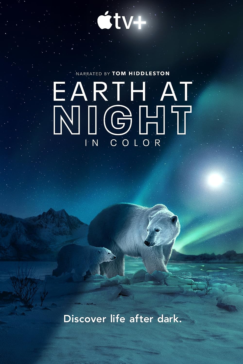 Earth at Night in Color 