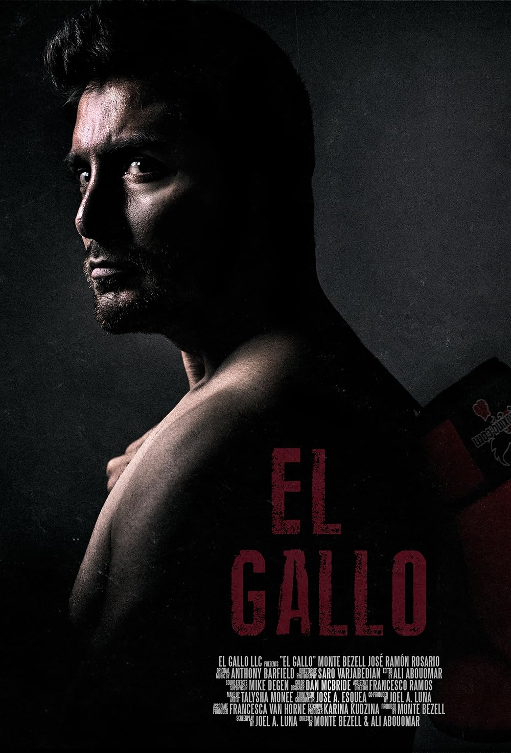 El Gallo 