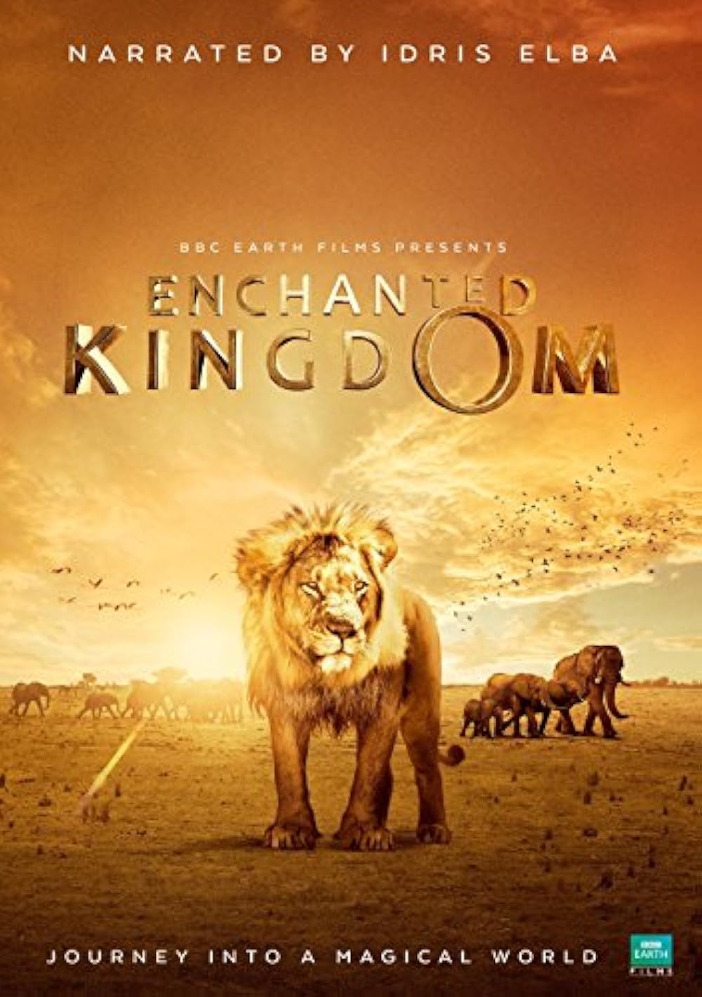 Enchanted Kingdom 