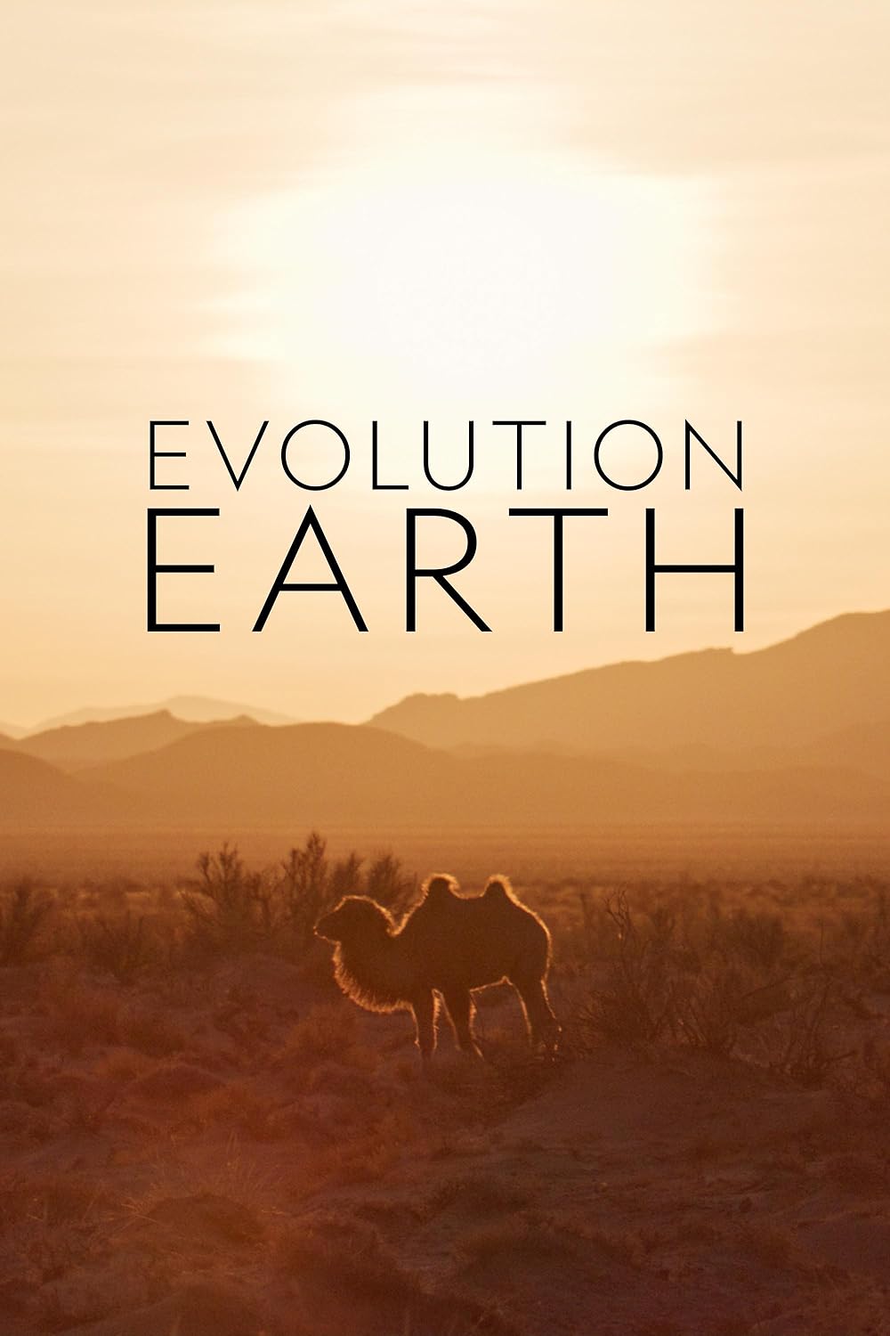 Evolution Earth 