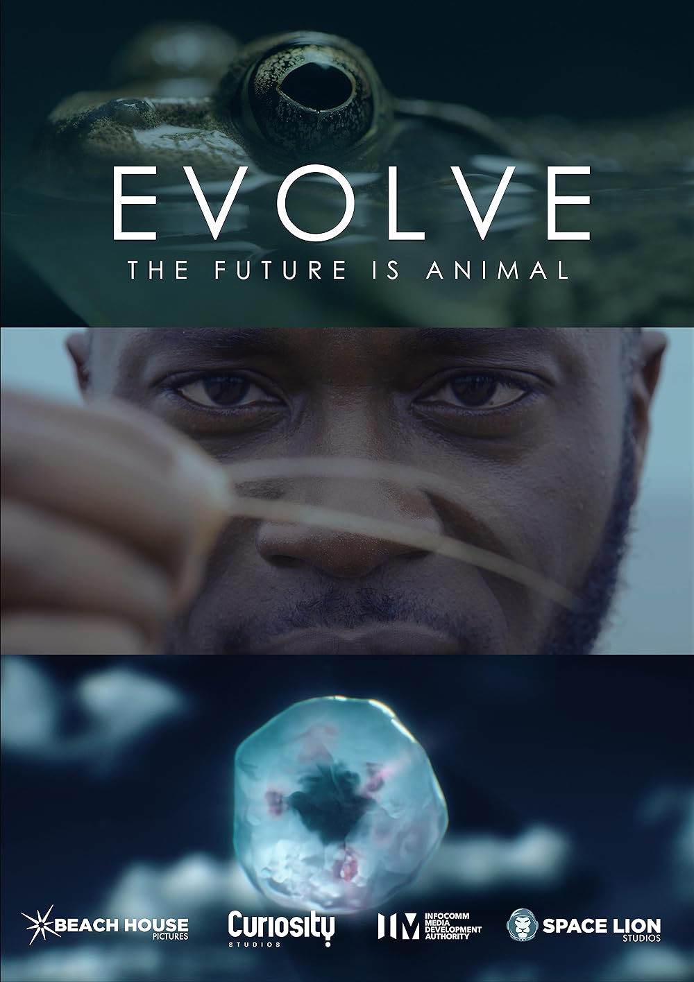 Evolve 