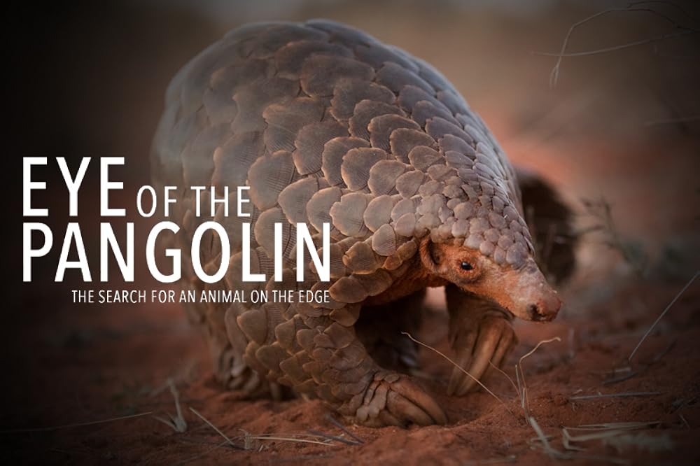Eye of the Pangolin 