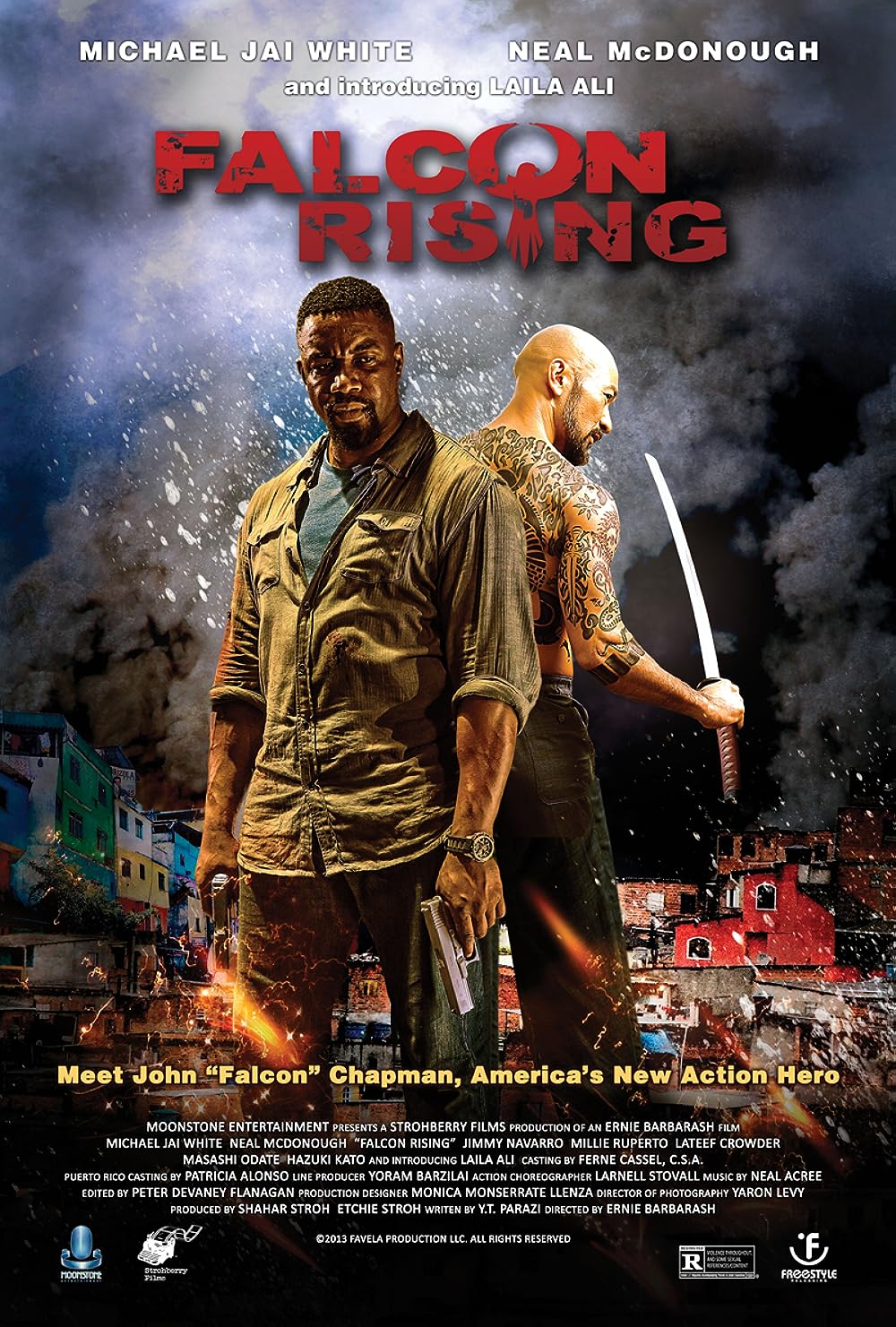 Falcon Rising 