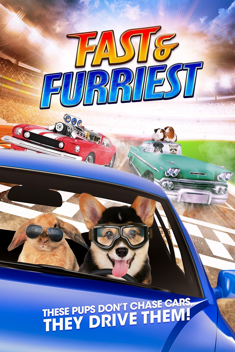 Fast and Furriest 