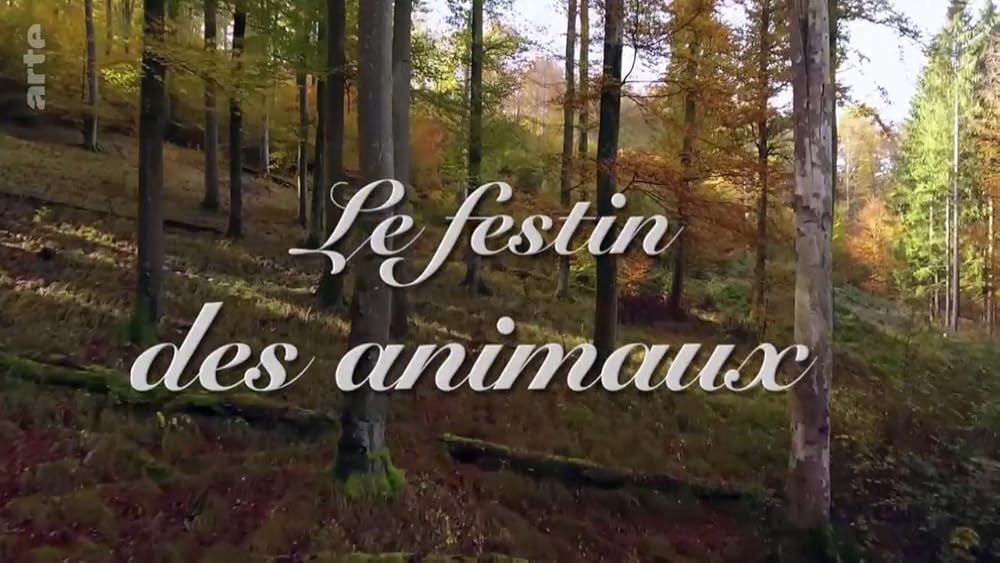 Feast of the Animals 