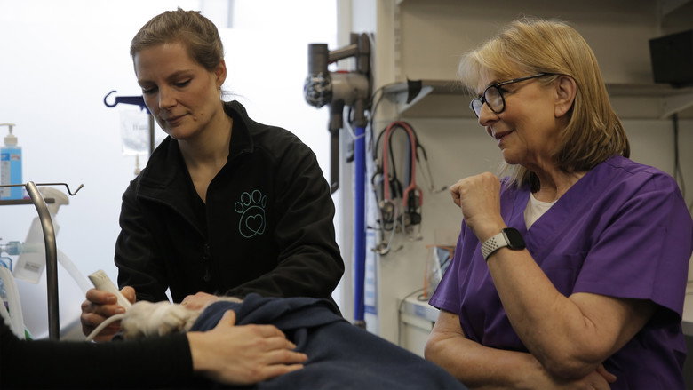 Fern Britton: Inside the Vet's (TV Series 2025– ) 2025