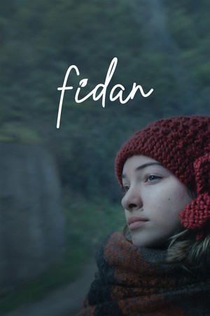 Fidan 