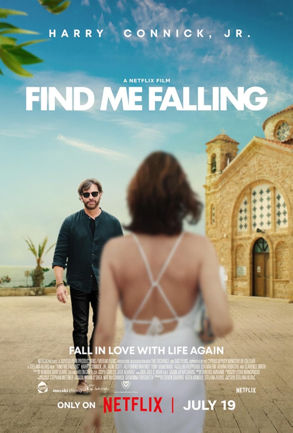 Find Me Falling 