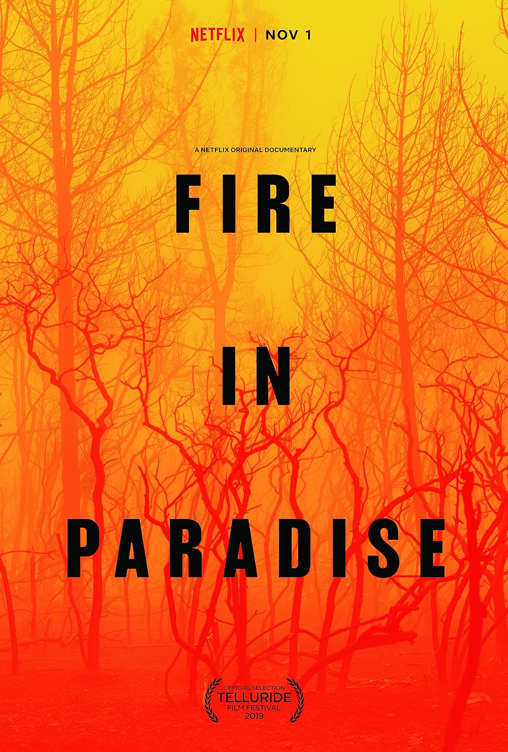 Fire in Paradise 