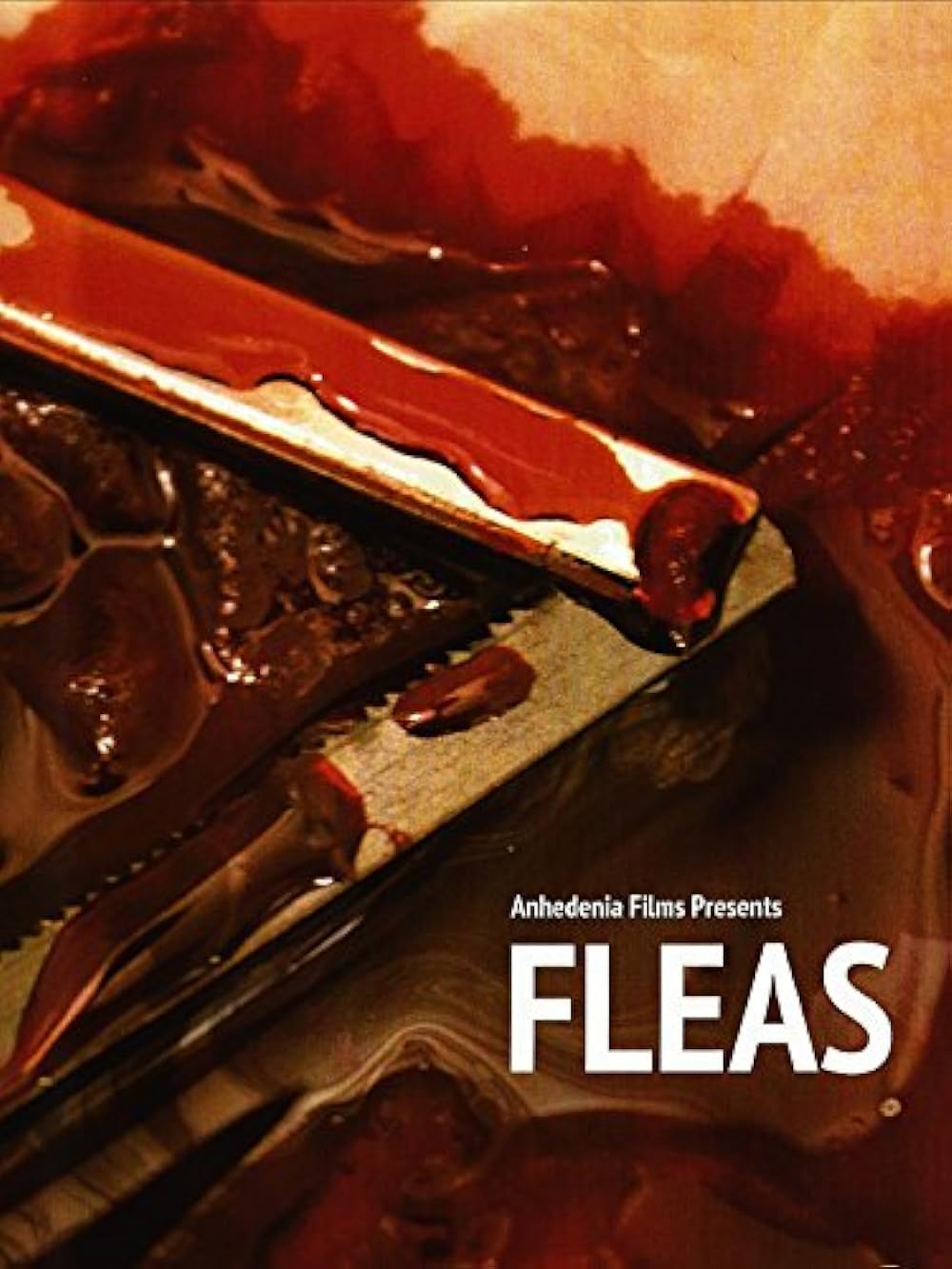 Fleas 