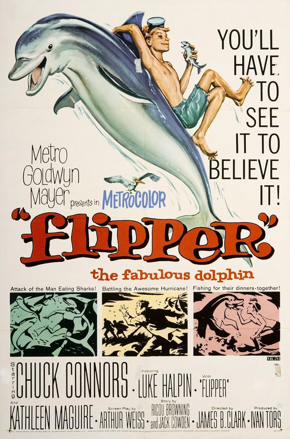 Flipper 