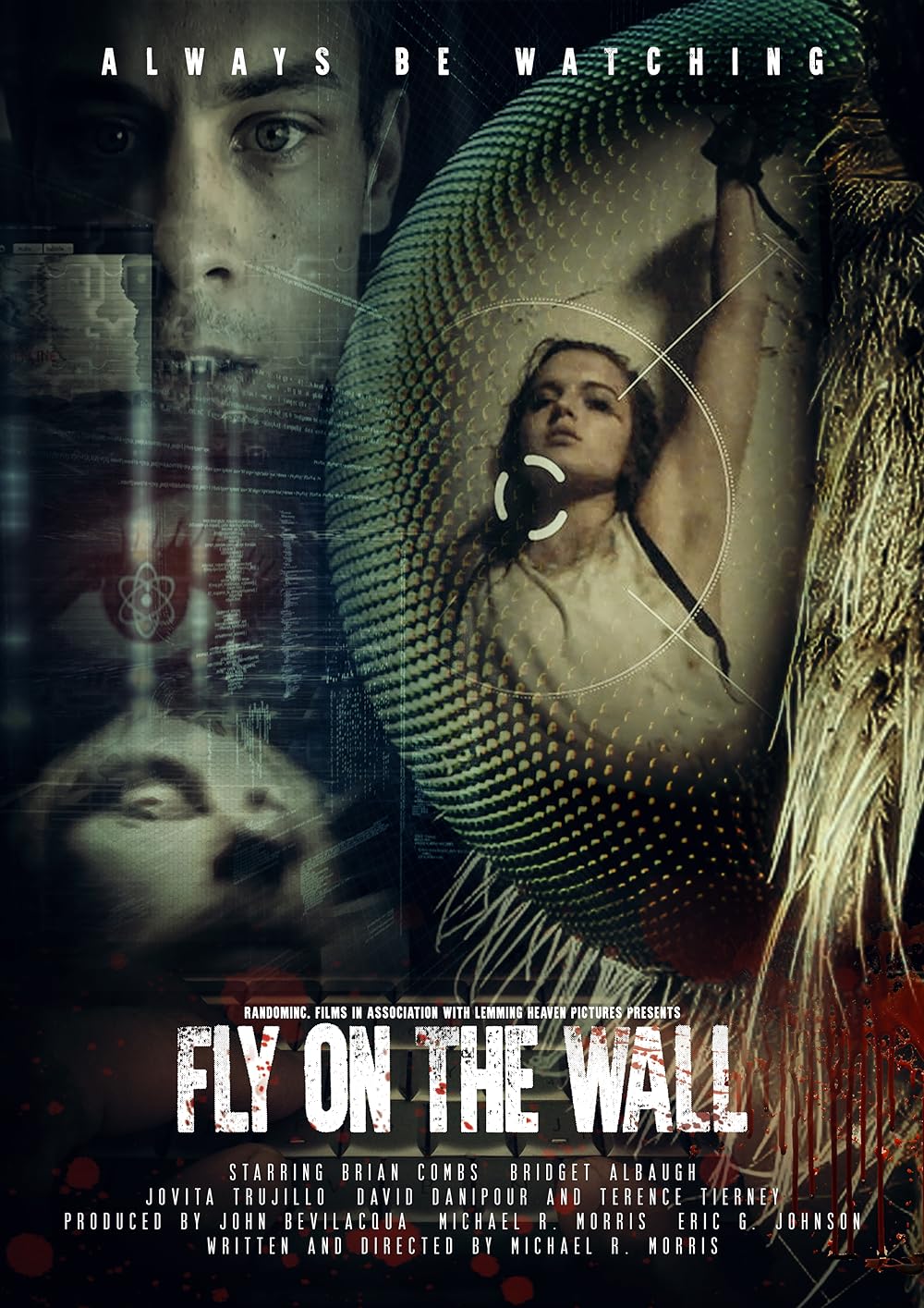 Fly on the Wall 